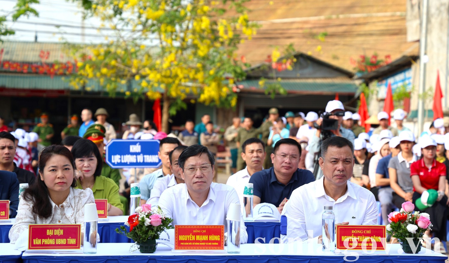 anh tin bai